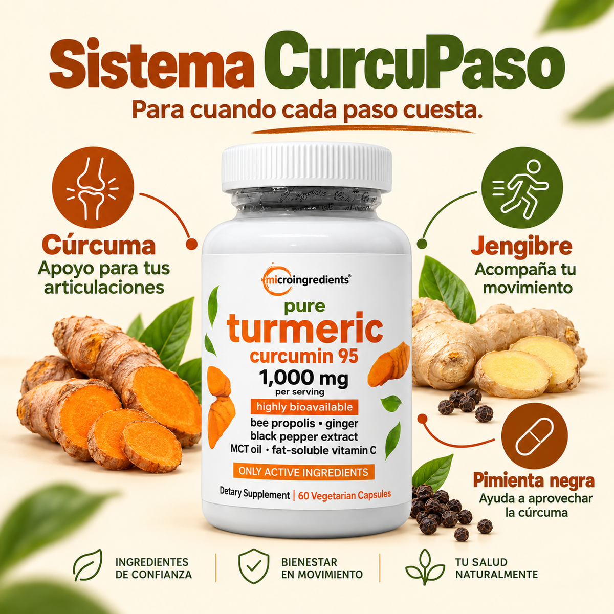 Pure Turmeric PasoLibre — 02-mecanismo